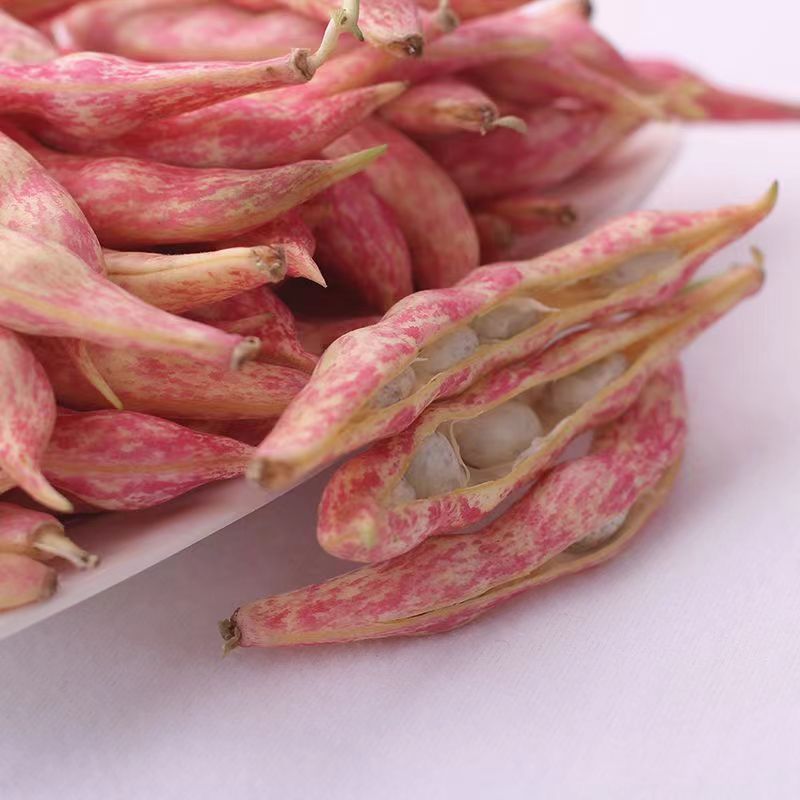 红金勾豆角 黄金勾 勾勾黄