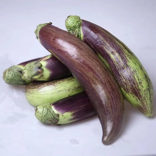 花茄子 东北面包茄子