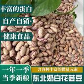 东北黑龙江2025年新收奶花芸豆大碴粥豆包豆馅专用饭豆红花芸豆