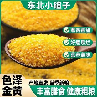 正宗东北黑龙江农家种植非转基因小粒玉米碴玉米糁2025年新米现磨