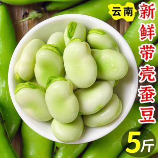 云南新鲜蚕豆5斤带壳新鲜胡豆兰花豆罗汉豆青豆荚绿心蚕豆现摘
