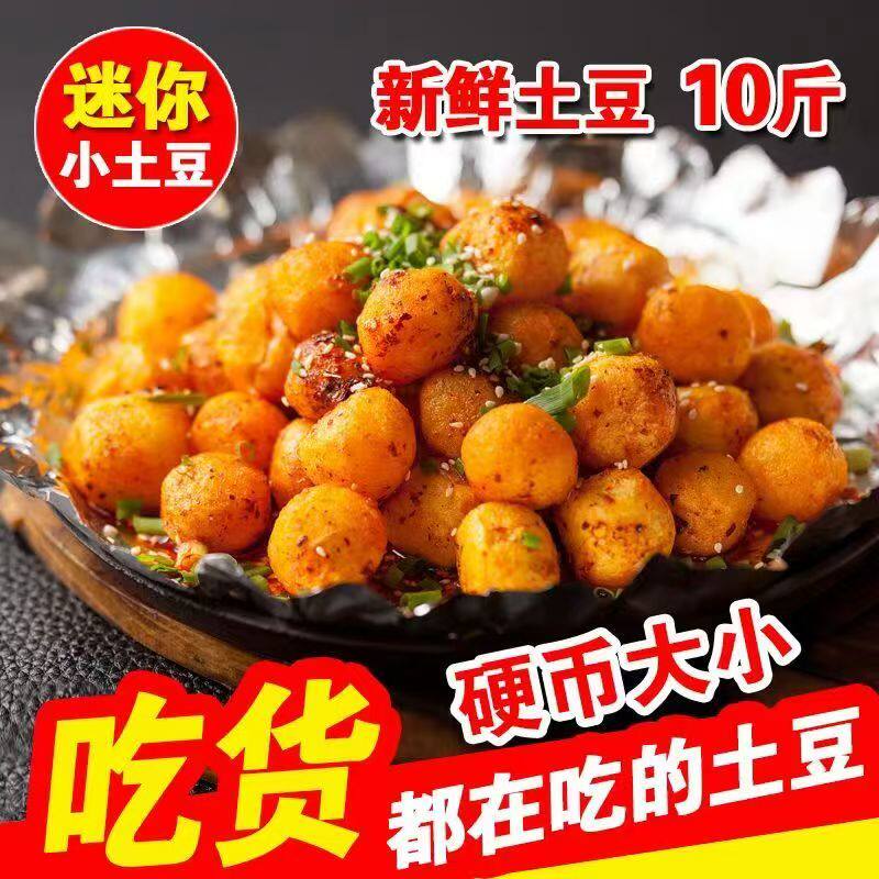 2025云南红皮土豆新鲜现挖红皮黄心马铃薯小洋芋小土豆整箱包邮