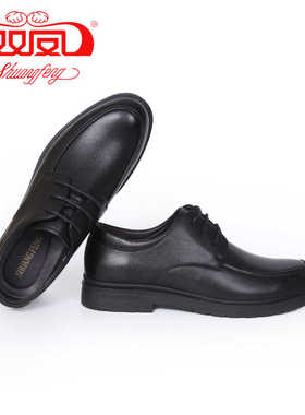 【买一赠五】双凤2024秋季新款英伦商务正装男士系带皮鞋71A-3607