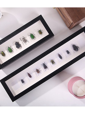 相框密度板简约现代昆虫标本框