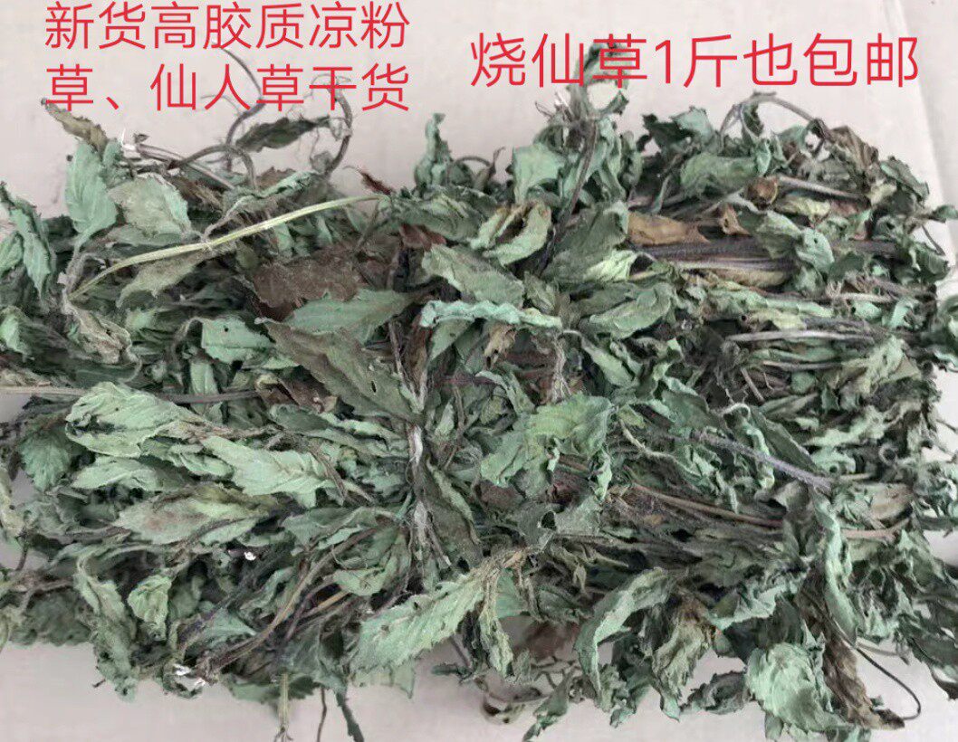 梅州中药材仙人草 烧仙草干 黑凉粉原材料凉粉草500克干货包邮