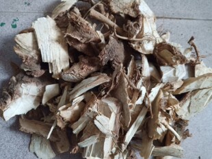 生和堂草药野生木芙蓉根、芙蓉树根、小桐子根500克包邮