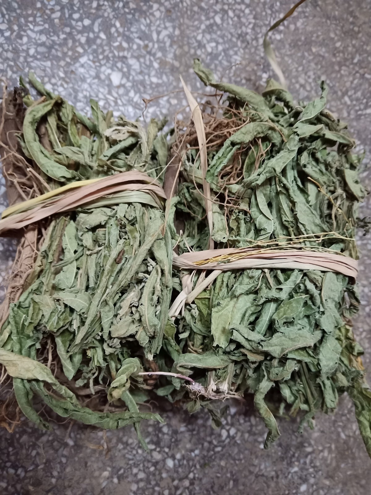 六棱菊中药材 羊耳三稔 百草王 六耳棱鹿耳翎臭灵丹500克干货包邮