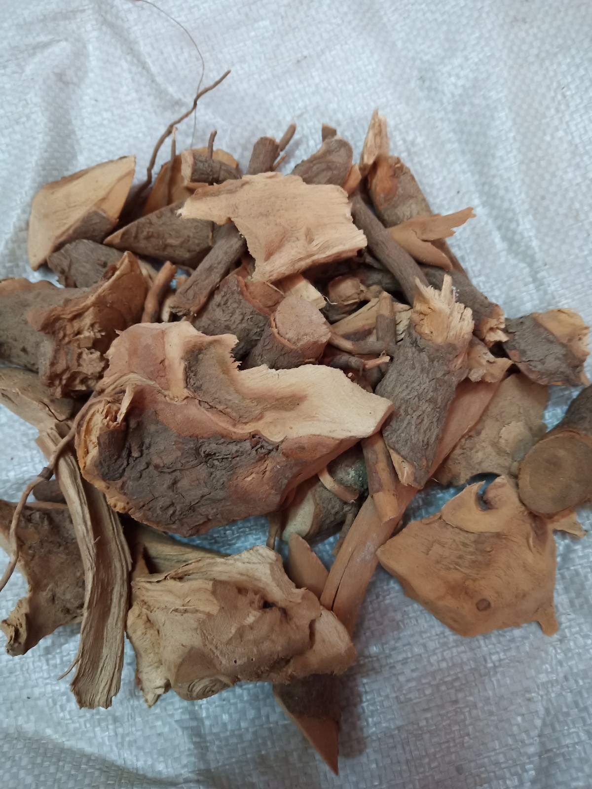 樟树根、香樟树根、樟脑树根、山沉香中药材500克包邮