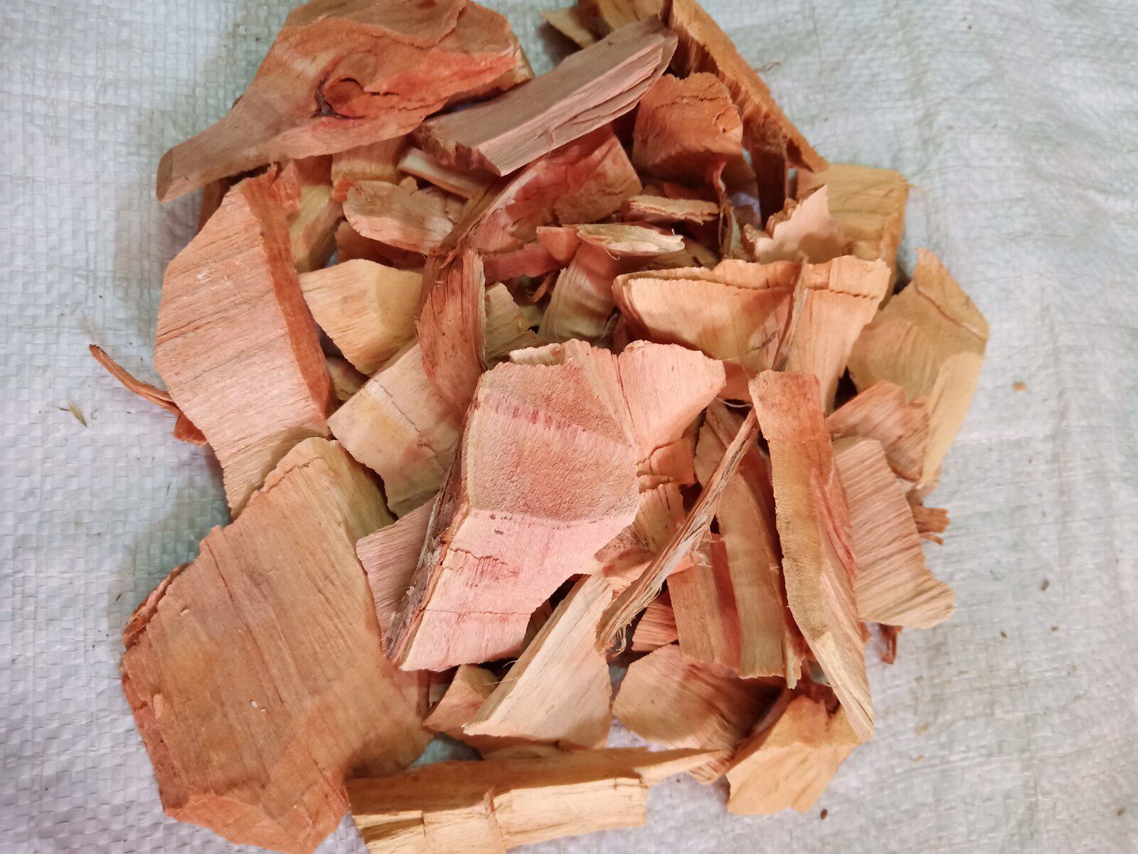 生和堂草药算盘子根,馒头根,狮子滚球,野南瓜根500克包邮.