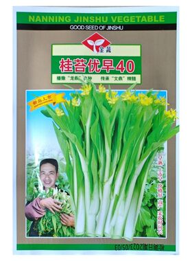 白菜苔种子金蔬早熟好吃