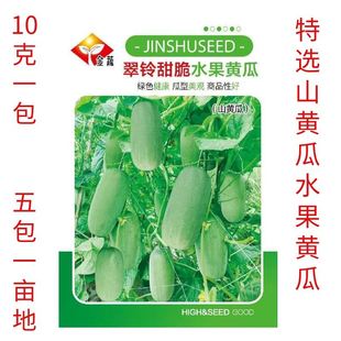 云南本地山黄瓜种子金蔬翠玲甜脆水果黄瓜丰满圆翠玉水果黄瓜种子