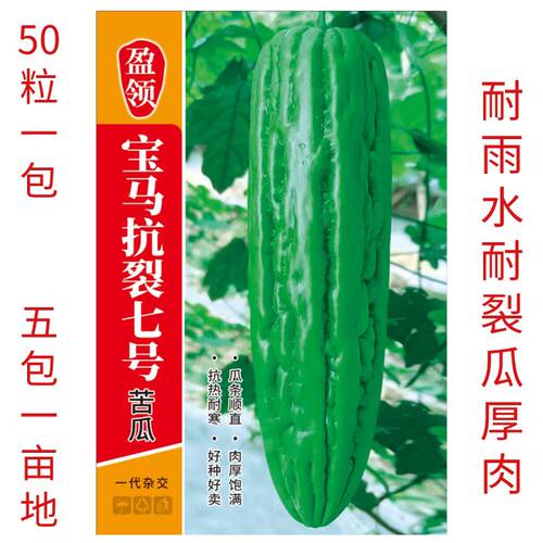 耐雨水耐裂宝马抗裂7号苦瓜种