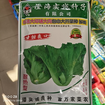 400克实诚特选大坪埔大肉包心大芥菜种子耐热耐抽苔口感一流快大