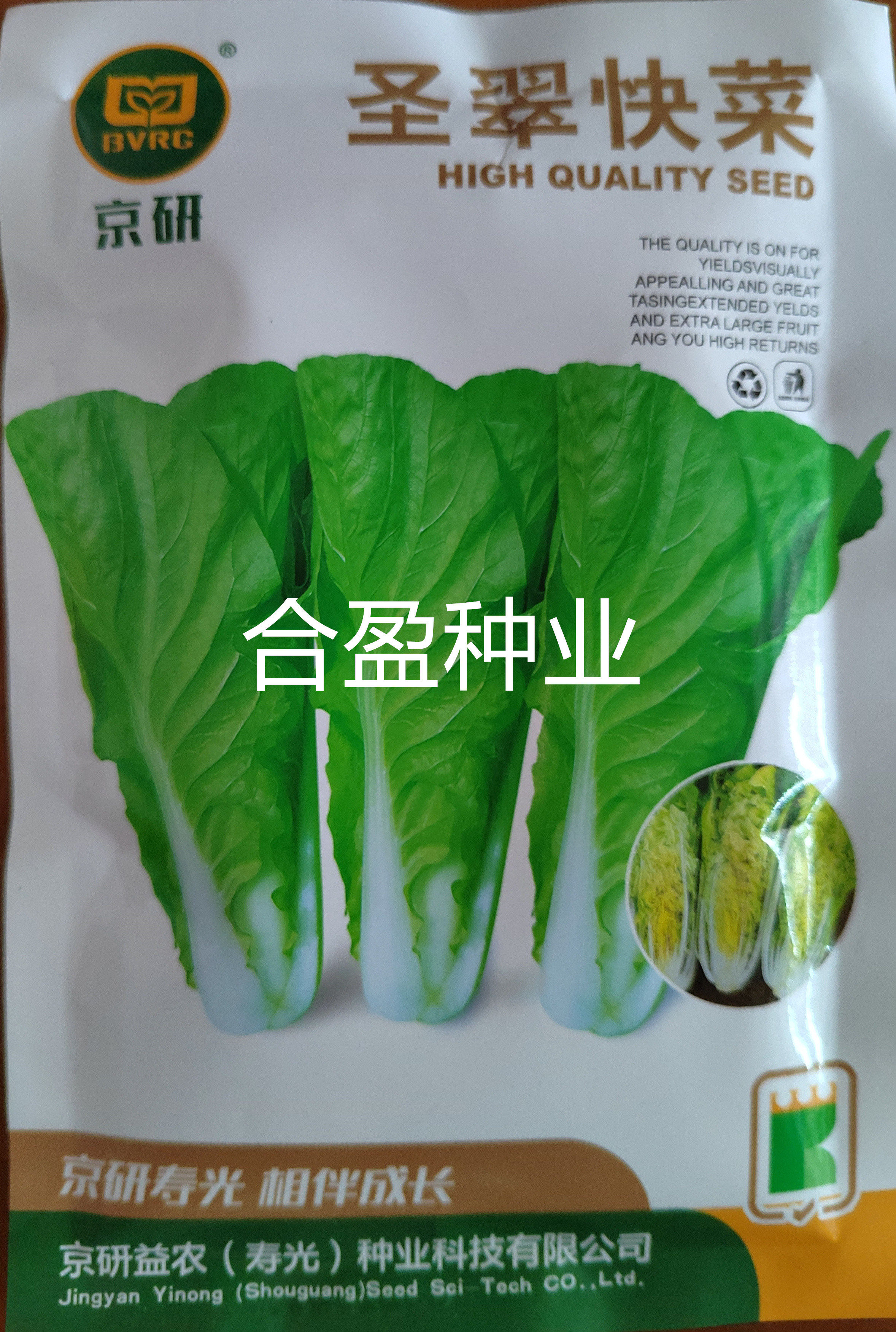 100克京研益农圣翠快菜种子快速小白菜耐热全年种植好吃抽芯抽薹图片