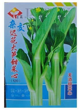 5克金蔬杂交迟花大笋甜菜心种子大颗迟菜心耐寒高产口感值得一试