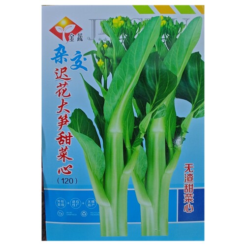 5克金蔬杂交迟花大笋甜菜心种子大颗迟菜心耐寒高产口感值得一试