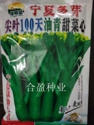 耐寒400克绿明星宁夏菜心尖叶100天油青甜菜心种子宁夏基地用种