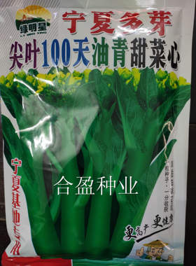 耐寒400克明星尖叶油青宁夏菜心