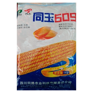 1公斤装 四川绵阳同玉609大田玉米种子鸡食苞谷种土玉米硬玉米种子