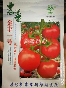 5克广州农科院乾农金丰一号番茄种子农普金丰一号西红柿大红果