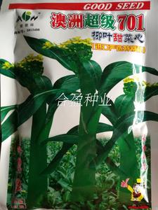 广东爱普农澳洲超级701柳叶菜心种子农科院农普油绿701菜心种子