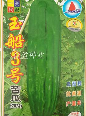 金韩苦瓜10g金船玉船3号油绿苦瓜种子广东油瓜油青苦瓜种子约53粒