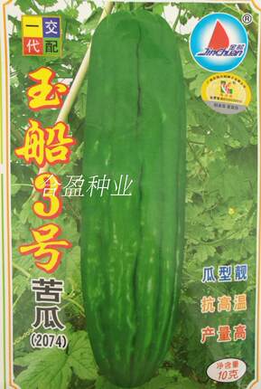 金韩苦瓜10g金船玉船3号油绿苦瓜种子广东油瓜油青苦瓜种子约53粒