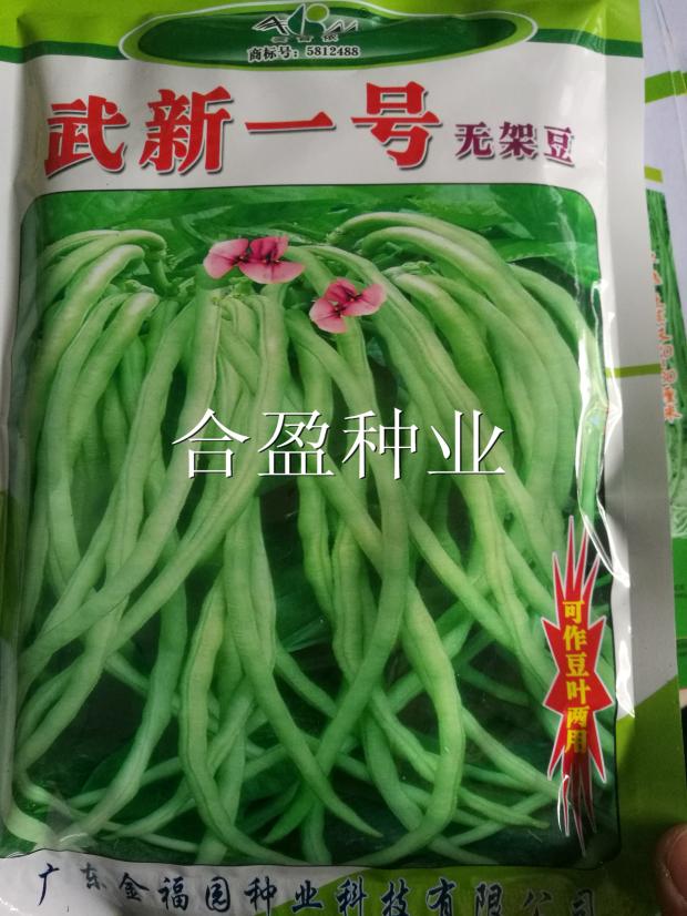 400g武新一号无架豆种子矮生不搭架可摘豆叶食用豆角叶子豇豆叶