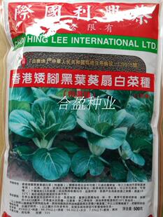500g香港蔡兴利国际矮脚黑叶葵扇白菜种子555白菜种子黑叶白菜种