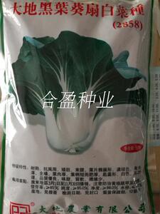 500g香港进口大地黑叶葵扇白菜种子大地黑叶白菜种子2858经典品种