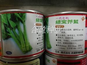 100g广良宝冠武藏野种苗绿宝芥蓝宝冠翠宝芥兰心种子芥兰种子