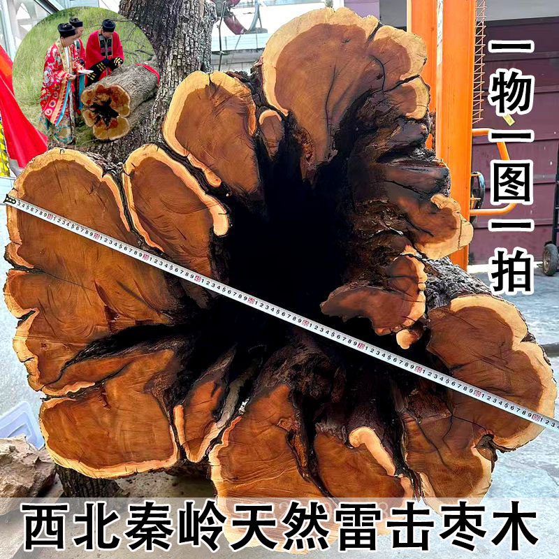 西北秦岭天然雷击枣木一物一图