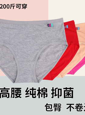 紫红天纯棉女士内裤中高腰提臀性感加肥大码三角胖mm妈妈女底裤