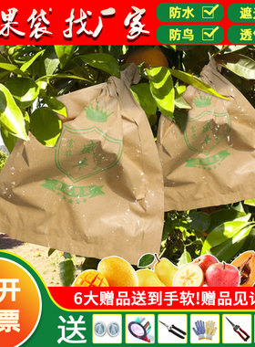 枇杷套袋芒果苹果桃子袋梨子果树袋芭乐番石榴脐橙柚子专用防虫袋