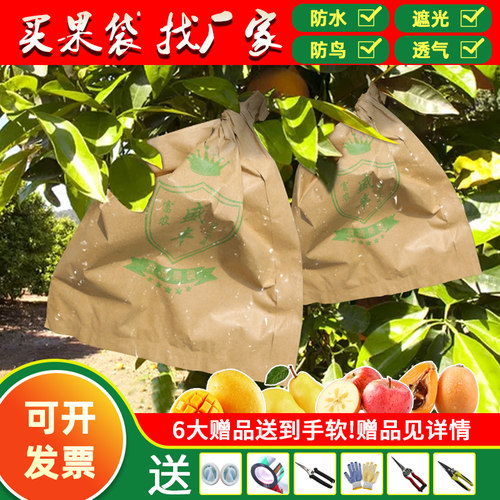 枇杷套袋芒果苹果桃子袋梨子果树袋芭乐番石榴脐橙柚子专用防虫袋