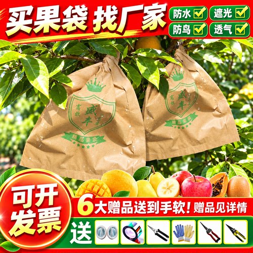 枇杷套袋芒果苹果桃子袋梨子果树袋芭乐番石榴脐橙柚子专用防虫袋