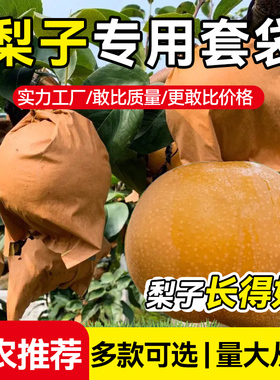 梨子专用套袋小梨袋晚秋黄梨用纸袋大梨雪梨黄金梨防水鸟防水果袋