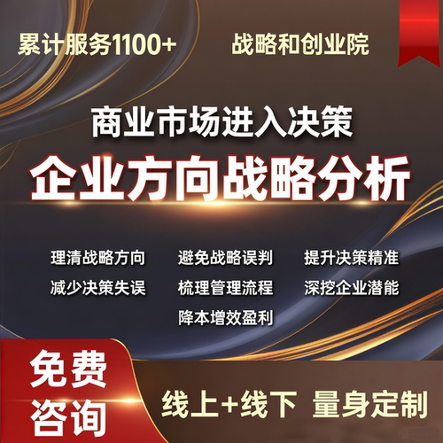 商业企业市场进入决策企业战略方向分析