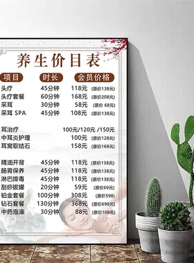 价目表定制中医理疗馆脱毛装饰画