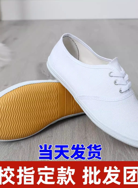 小白鞋男童帆布鞋女童运动鞋儿童白布鞋幼儿园室内小学生白色球鞋