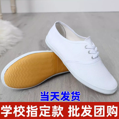 小白鞋男童帆布鞋女童运动鞋儿童白布鞋幼儿园室内小学生白色球鞋