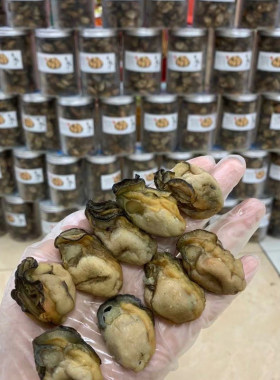 生蚝干货100头大蚝士干
