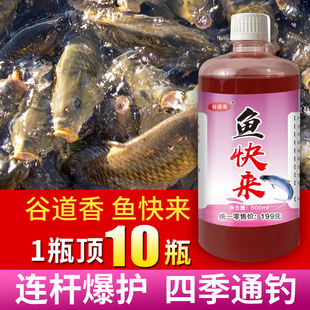 谷道香鱼快来钓鱼小药黑坑野钓添加剂草鱼鲤鱼鲫鱼钓鱼饵料诱食剂