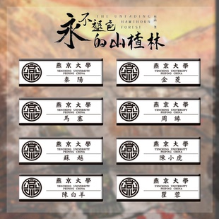 永不褪色的山楂林剧本杀COS道具秦阳金菱马塞周缘苏越胸牌名札