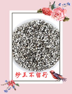 炒王不留行  加通草 下奶神器王不留精选  下奶水多下乳快