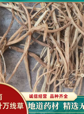 云南材千针万线草无添加 小胖药 筋骨草麦参干货无硫正品包邮