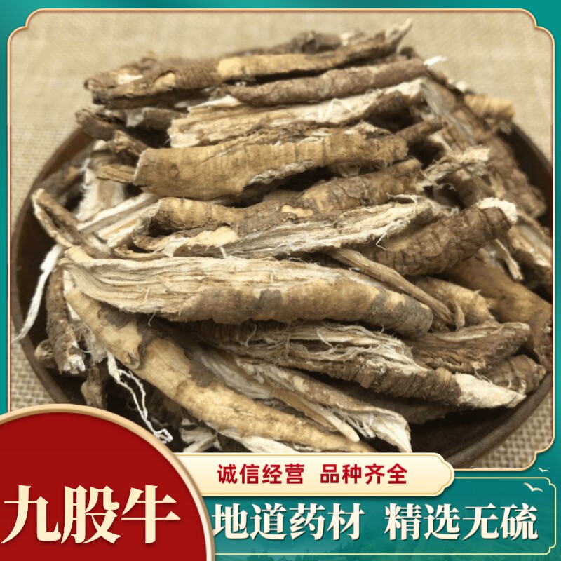 九股牛 云南高山大九股牛羊角天麻 绿升麻 大接骨 新货无硫无添加