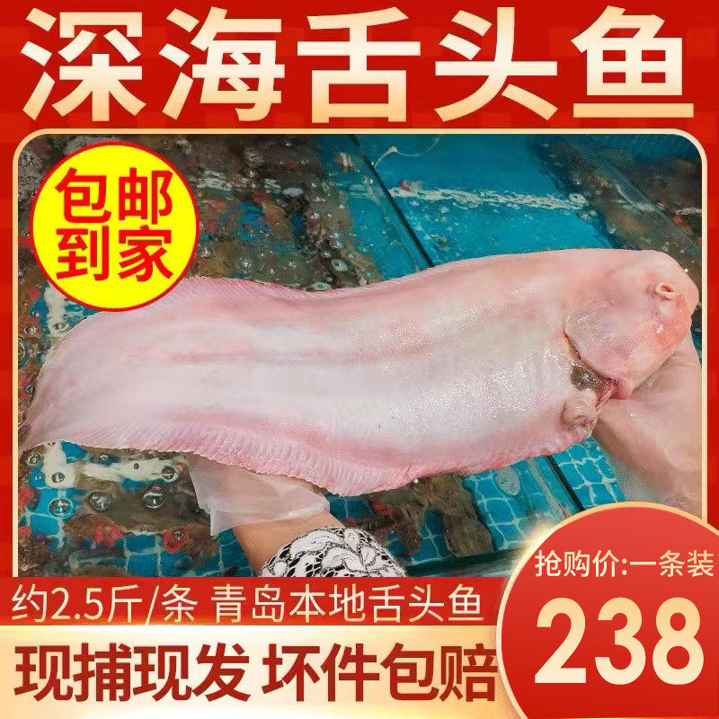 龙利鱼新鲜冷冻特大舌头鱼海鱼新鲜鳎米鱼目鱼冷冻踏板鱼舌鳎鱼