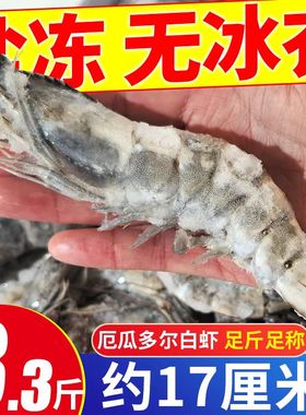 新鲜大虾鲜活冷冻速冻海虾盐冻白虾特大海捕大虾海鲜水产非基围虾