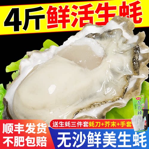 肥！鲜！够称！顺丰！送芥末蚝刀